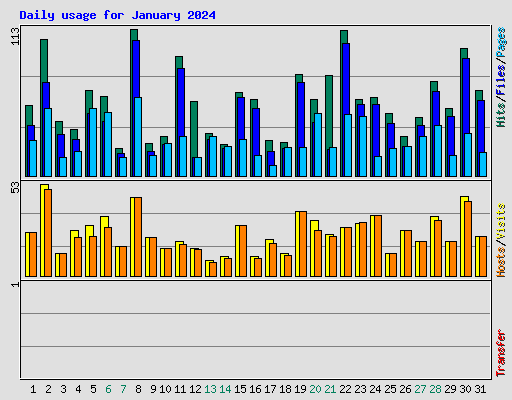 Daily usage for January 2024
