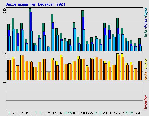 Daily usage for December 2024