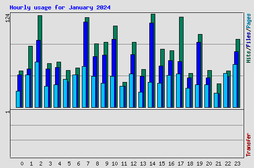 Hourly usage for January 2024