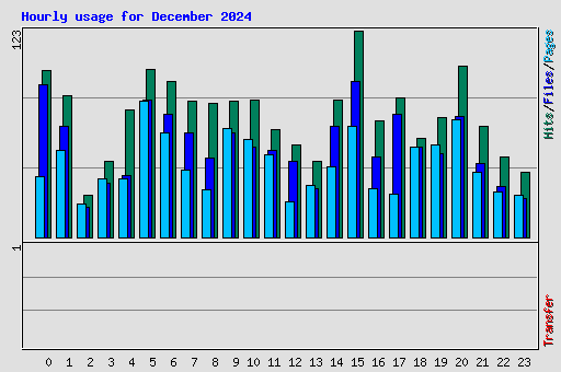 Hourly usage for December 2024