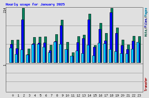 Hourly usage for January 2025